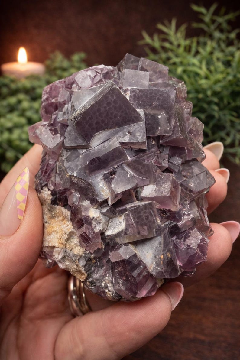 Peut inclure: Gros plan sur un amas de cristaux de fluorite violets. Les cristaux cubiques pr&eacute;sentent des nuances de violet. La pierre brute naturelle est tenue dans une main, mettant en valeur sa forme et sa texture uniques. Les cristaux sont translucides.