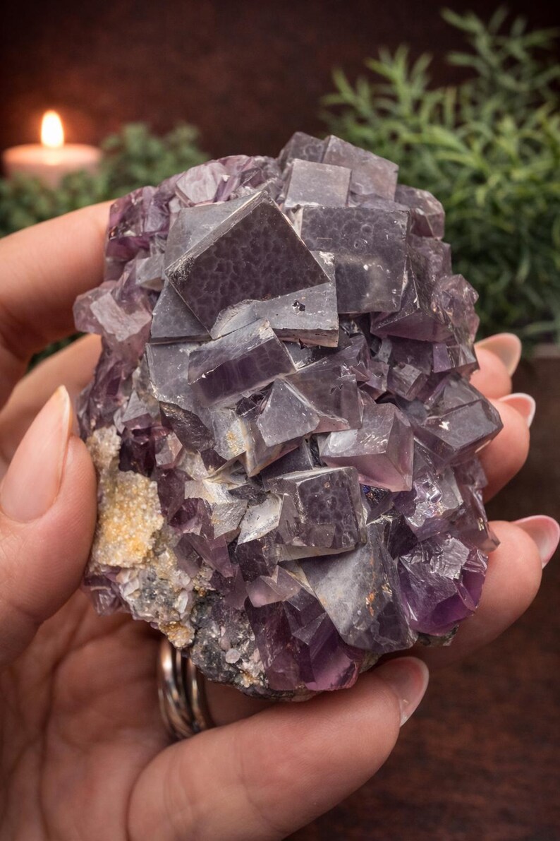 Peut inclure: Un amas de cristaux de fluorite violets &agrave; structure cubique. Les cristaux sont un m&eacute;lange de violet profond et de gris translucide, tenus dans une main. L'arri&egrave;re-plan comprend une bougie allum&eacute;e et de la verdure.