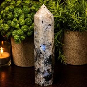 May include: A tall, hexagonal crystal point with a polished finish. The crystal features a mix of white, gray, and black inclusions, with hints of blue. The crystal is displayed on a dark wooden surface, with potted plants in the background.