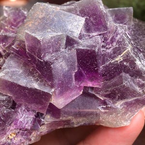 Peut inclure: Gros plan sur un amas de cristaux de fluorite violets. Le cristal a une structure en forme de cube avec des nuances de violet et un aspect translucide. Le cristal est tenu dans une main.