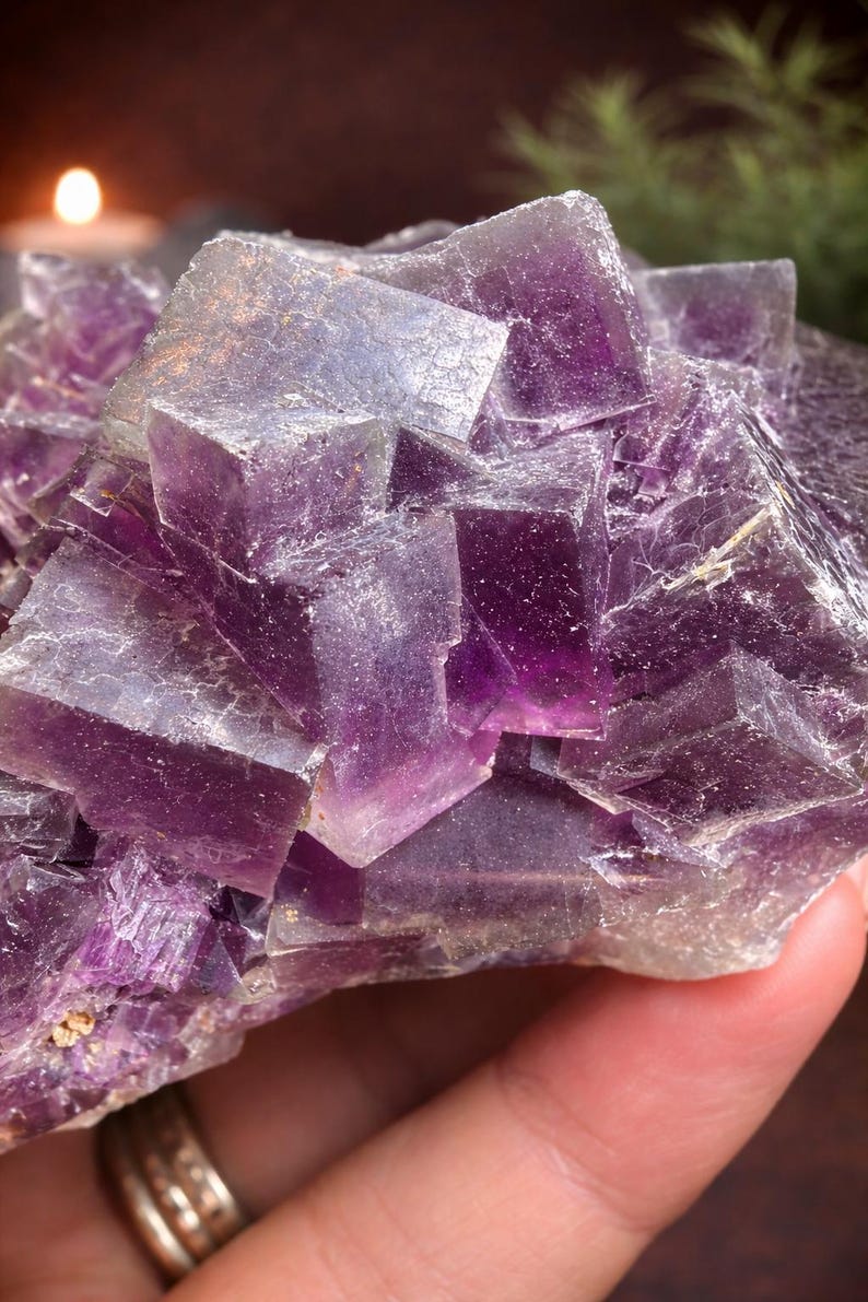 Peut inclure: Gros plan sur un amas de cristaux de fluorite violets. Le cristal a une structure en forme de cube avec des nuances de violet et un aspect translucide. Le cristal est tenu dans une main.
