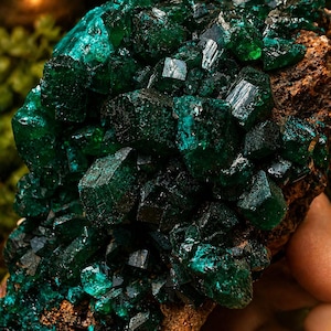 May include: Close-up of a cluster of vibrant, emerald-green crystals. The crystals have a faceted, geometric structure and are set against a rough, brown rock base. The image is well-lit, highlighting the crystals' color and texture.