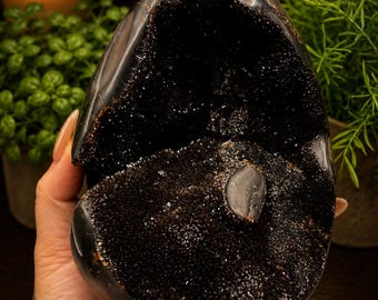 Large Septarian Egg Geode, Natural Septarian Crystal Egg with Druzy Cave, Dragon Stone, Polished Septarian Nodule, Statement Crystal Decor