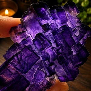 Pode incluir: Um aglomerado de cristais de fluorite roxo profundo com numerosas forma&ccedil;&otilde;es c&uacute;bicas transl&uacute;cidas. O esp&eacute;cime mineral apresenta v&aacute;rios tons de violeta e &iacute;ndigo, com arestas geom&eacute;tricas afiadas e uma textura cristalina v&iacute;trea em toda a sua extens&atilde;o.