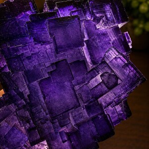 Pode incluir: Um aglomerado de cristais de fluorite roxo profundo com um arranjo complexo de estruturas geom&eacute;tricas c&uacute;bicas transl&uacute;cidas. O esp&eacute;cime mineral exibe tons variados de violeta e &iacute;ndigo com bordas afiadas e angulares e uma textura de superf&iacute;cie lisa.