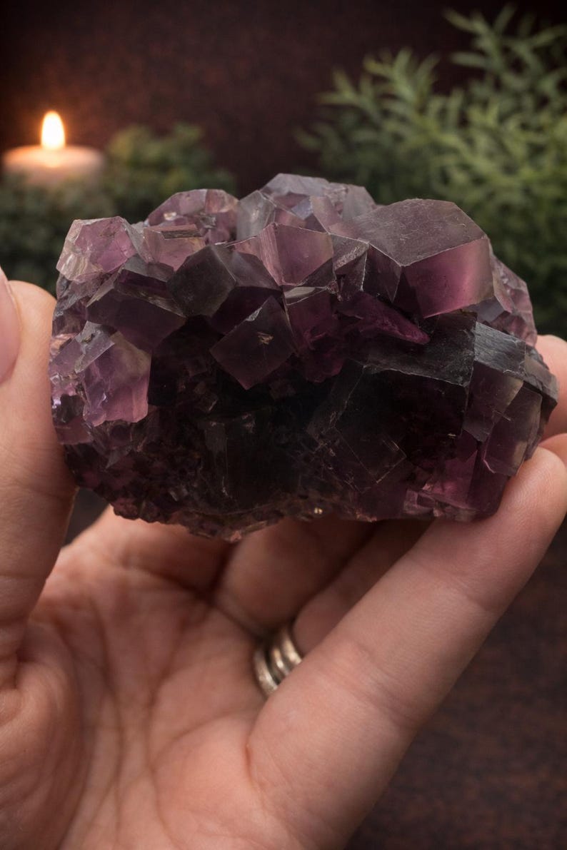Peut inclure: Une main tient un grand cristal de fluorite violet facett&eacute;. Le cristal a une couleur riche et profonde avec des variations de tons. L'arri&egrave;re-plan est flou, avec une bougie et de la verdure visibles. Cet objet est d&eacute;coratif.