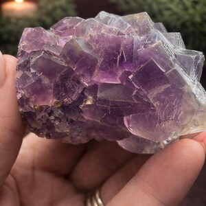 Spécimen de fluorite violette brute - Formation de cristaux cubiques, zonage époustouflant - Mine de Qinglong, Chine - Pièce minérale de collection - Fluorite naturelle image 16