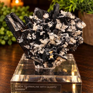 Black Tourmaline with Quartz Namibia | Natural Schorl Crystal Cluster on Custom Stand | Erongo Mineral Specimen | Collector Crystal Display