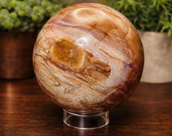 XL Petrified Wood Sphere 115mm | Polished Fossil Wood Crystal for Grounding & Stability | Large Earth Energy Stone, Natural Home Decor