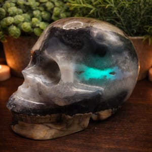 Volcano Agate Skull Carving – UV Reactive Crystal Skull, Hand Carved Agate, Statement Collector Piece, 5.75 lbs bild 11