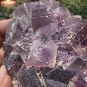 Peut inclure: Gros plan sur un amas de cristaux de fluorite violette. Le cristal a une structure cubique avec des nuances de violet et des zones translucides. L'arri&egrave;re-plan comprend une bougie et de la verdure floues.