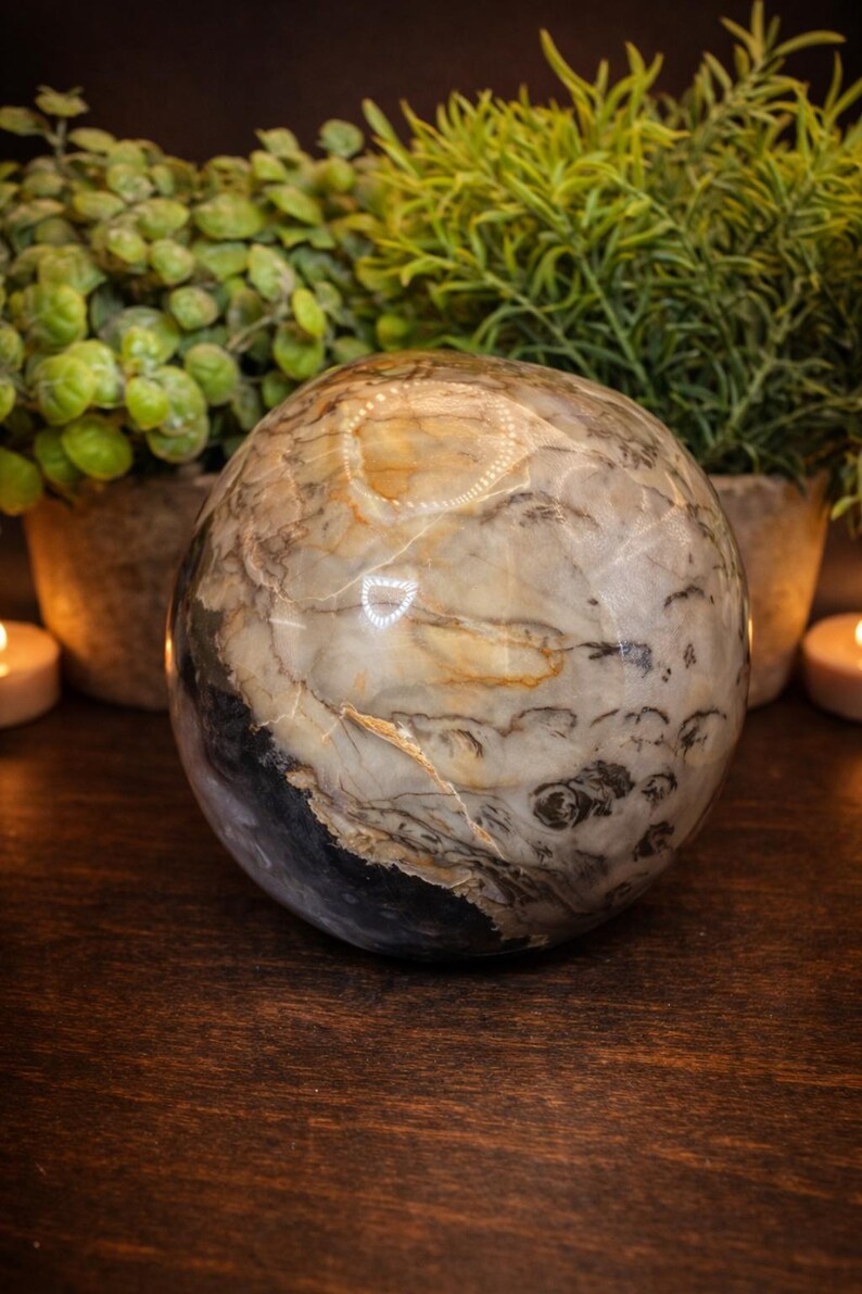 Volcano Agate Skull Carving – UV Reactive Crystal Skull, Hand Carved Agate, Statement Collector Piece, 5.75 lbs bild 5