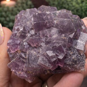 Peut inclure: Un grand amas de cristaux de fluorite violette brute. Le cristal pr&eacute;sente une structure g&eacute;om&eacute;trique complexe avec de nombreuses facettes et une gamme de teintes violettes. L'arri&egrave;re-plan comprend une bougie allum&eacute;e et de la verdure.