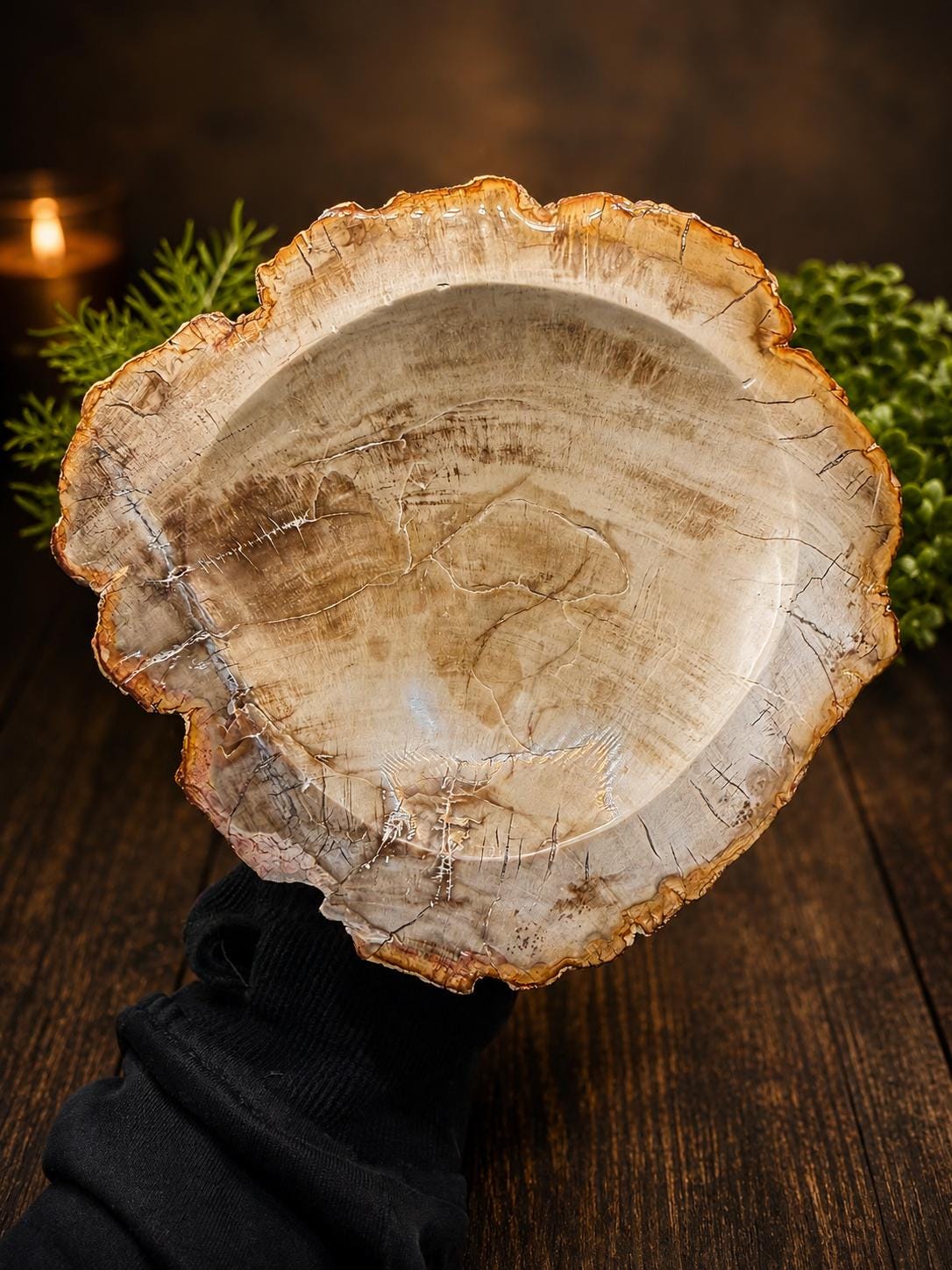 Petrified Wood Catchall - Etsy