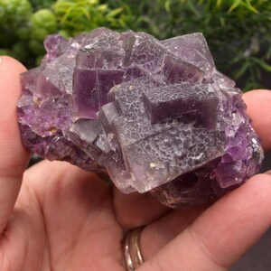 Spécimen de fluorite violette brute - Formation de cristaux cubiques, zonage époustouflant - Mine de Qinglong, Chine - Pièce minérale de collection - Fluorite naturelle image 12