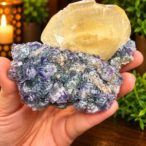 Bladed Calcite on Phantom Fluorite Fujian China | Golden Yellow Calcite Crystal on Blue Purple Cubic Fluorite | Collector Mineral Specimen