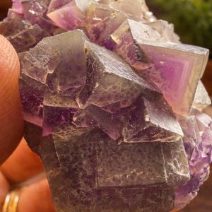 Peut inclure: Gros plan sur un sp&eacute;cimen de fluorite. La structure cristalline pr&eacute;sente un m&eacute;lange de formations cubiques violettes et claires. Le sp&eacute;cimen est tenu dans une main, avec une bague en or visible. L'arri&egrave;re-plan est flou, avec des touches de verdure.