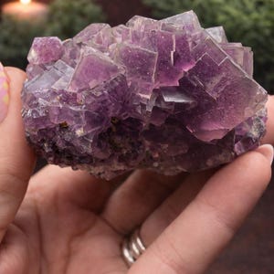 Peut inclure: Gros plan sur un amas de cristaux de fluorite violette. Le cristal a une structure cubique avec un aspect translucide. La couleur varie du violet clair au violet fonc&eacute;. Le cristal est tenu dans une main, avec un arri&egrave;re-plan flou de verdure et une bougie.