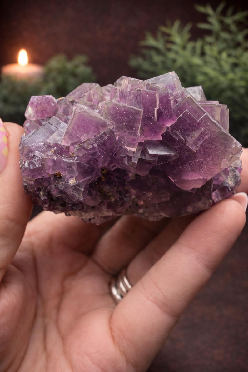Peut inclure: Gros plan sur un amas de cristaux de fluorite violette. Le cristal a une structure cubique avec un aspect translucide. La couleur varie du violet clair au violet fonc&eacute;. Le cristal est tenu dans une main, avec un arri&egrave;re-plan flou de verdure et une bougie.