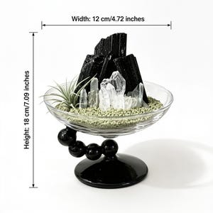 Puede incluir: Un cuenco de cristal transparente sobre una base de pedestal negra con un brazo curvo de esferas negras, que contiene turmalina negra, cristales de cuarzo transparentes y una peque&ntilde;a planta de aire sobre arena verde. Mide 12 cm de ancho y 18 cm de alto.