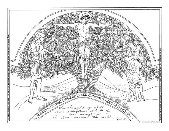 Jesus Tree Color Book Jesuss Life Coloring Pages