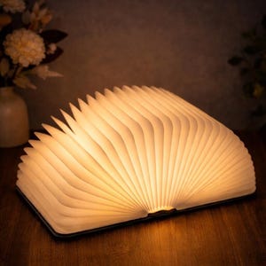 May include: A glowing, open book-shaped lamp with a warm, soft light. The pages are fanned out, creating a unique and decorative lighting fixture. The lamp sits on a wooden surface, with a vase of flowers in the background.