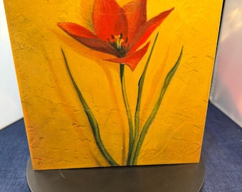 Caja Tulipán Vintage Edición Limitada Hecha a Mano Visual Spaces Monteal #137