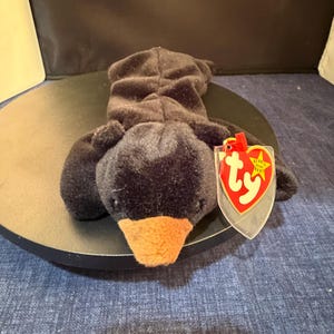 Könnte beinhalten: Eine schwarze Plüschtierente mit einem orangefarbenen Schnabel und einem rot-gelben Anhänger. Die Ente liegt auf einer schwarzen Oberfläche vor einem blauen Hintergrund. Auf dem Anhänger steht "Ty Beanie Baby".