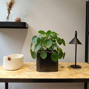 Cache pot métal pour intérieur, 20 x 20 x 17cm