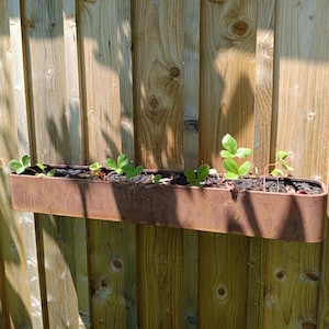 Peut inclure: Un bac à plantes rectangulaire, brun rouillé, rempli de terre et de petites plantes vertes, monté sur une clôture en bois vieilli. Les plantes ont de petites feuilles vertes. La clôture est faite de planches de bois verticales.