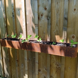 May include: A long, rectangular planter box with a weathered, rusted metal finish. The container is filled with dark potting soil and contains several small green strawberry plants with trifoliate leaves growing along its length.