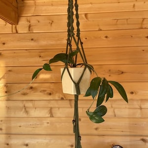 May include: A dark green macrame plant hanger featuring intricate knotted patterns and small dark wooden beads. The hanger supports a square white ceramic pot containing a green leafy plant with long vines extending outward from the centre.