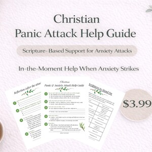 May include: A Christian Panic Attack Help Guide with the text "Scripture-Based Support for Anxiety Attacks" and "In-the-Moment Help When Anxiety Strikes." The guide includes worksheets and a price tag of $3.99.