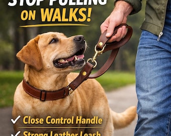 Genuine Leather Dog Leash with Traffic Handle – Heavy Duty Control Lead