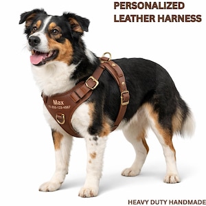 Pettorina per cani in pelle personalizzata anti-tiro - Nome personalizzato inciso, fatta a mano