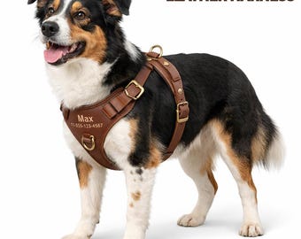 Personalized Leather No-Pull Dog Harness – Engraved Custom Name, Handmade