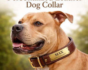 Personalized Leather Dog Collar | Heavy Duty Engraved Name Plate, Pitbull German Shepherd