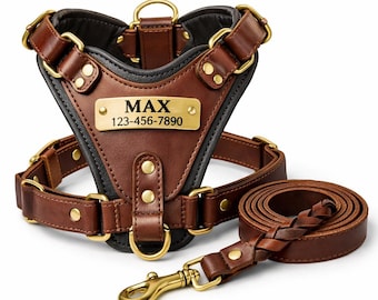 Handmade Leather Dog Harness and Leash Set, Personalized Brass Pet Gear