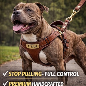 Heavy Duty Leather Pitbull Harness – No-Pull, Personalized, Handcrafted Dog Gear