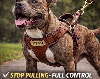 Heavy Duty Leather Pitbull Harness – No-Pull, Personalized, Handcrafted Dog Gear