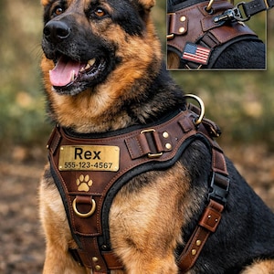 Pode incluir: Um cão pastor alemão usando uma coleira de couro marrom com uma placa de identificação dourada que diz "Rex" e um número de telefone. A coleira tem um "No Pull Design" e um patch da bandeira americana. O cão está ao ar livre.