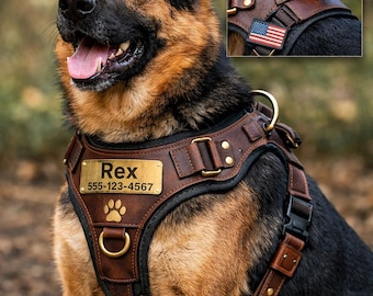 Arnés de cuero personalizado antitirones para perros / Correa de entrenamiento resistente con herrajes de latón