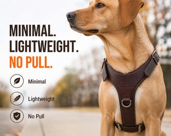Minimal Leather Dog Harness, Lightweight No-Pull, Adjustable Pet Accessory