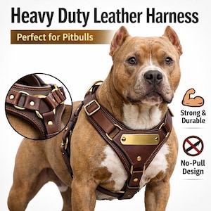以下が含まれることがあります： 金色の金具が付いた茶色の革製犬用ハーネス。「Heavy Duty Leather Harness」と「Perfect for Pitbulls」のラベルが付いています。画像には「Strong & Durable」と「No-Pull Design」の文字も含まれています。