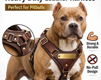 Heavy Duty Leather Dog Harness with Brass Plate | No-Pull, Matching Leash
