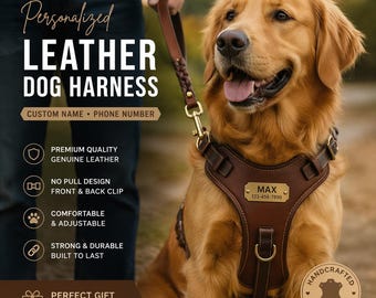 Personalized Genuine Leather Dog Harness Set, No-Pull Adjustable Leash, Custom Engraved Name Tag