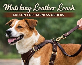 Handgemaakte echt lederen hondenriem add-on (voor harnasbestellingen)