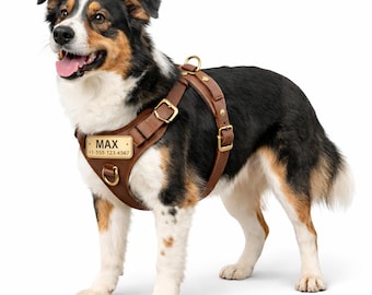 Personalized Leather No-Pull Dog Harness | Custom Metal Name Plate with Phone