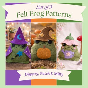 May include: Set of 3 felt frog patterns. The image shows three whimsical felt frog figures, each with unique accessories: a wizard hat, a witch hat, and a flower hat. The frogs are green with black eyes and are named Diggory, Patch & Milly.