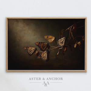 May include: A framed print featuring several monarch butterflies perched on a branch with dried leaves. The butterflies have orange and black patterned wings. The artwork has a dark, moody background and a gold frame. The text "ASTER & ANCHOR" is at the bottom.
